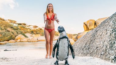 Lady in cute red bikini playing with a penguin.