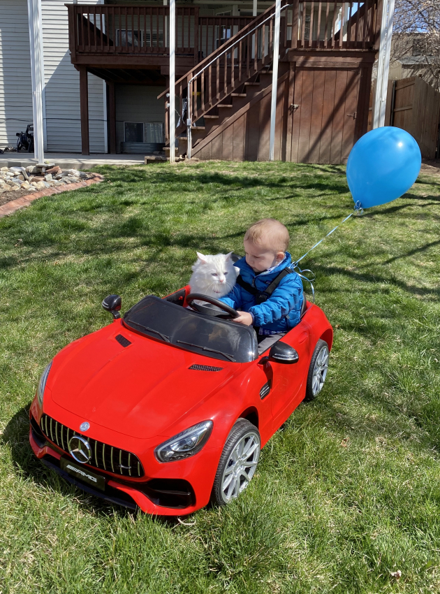 best toys for 2 year old