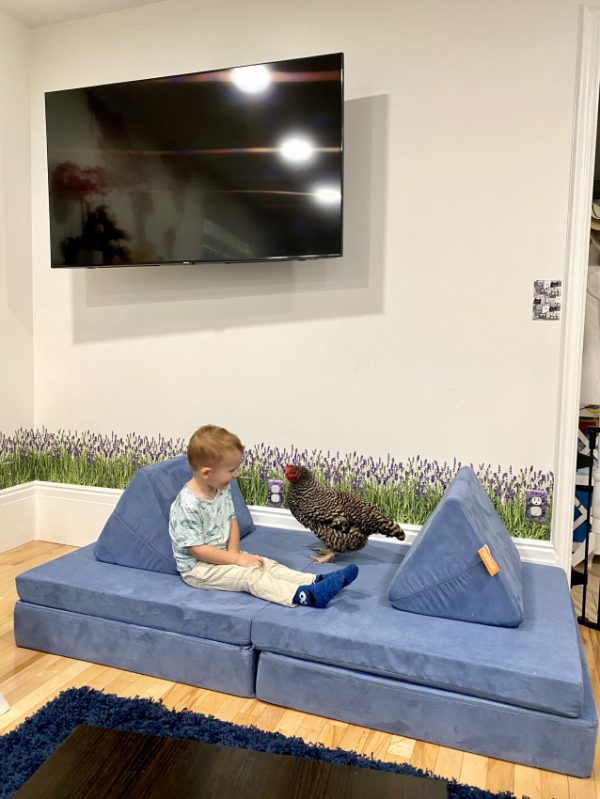 The Nugget Couch Is It Really That Great? (+ Nugget Alternatives)