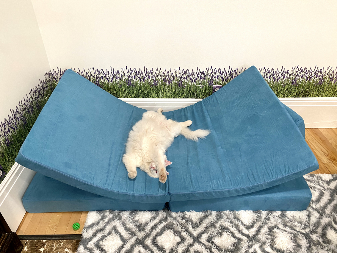 The Nugget Couch Is It Really That Great? (+ Nugget Alternatives)