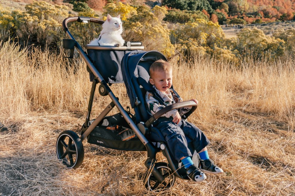 trek go bug double stroller