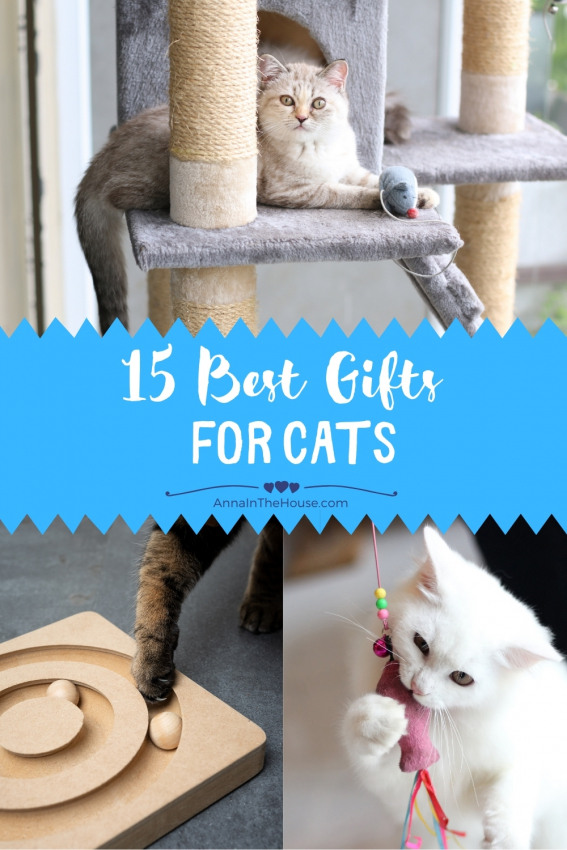 Best Gifts for Cats Stocking Stuffers Anna in the House