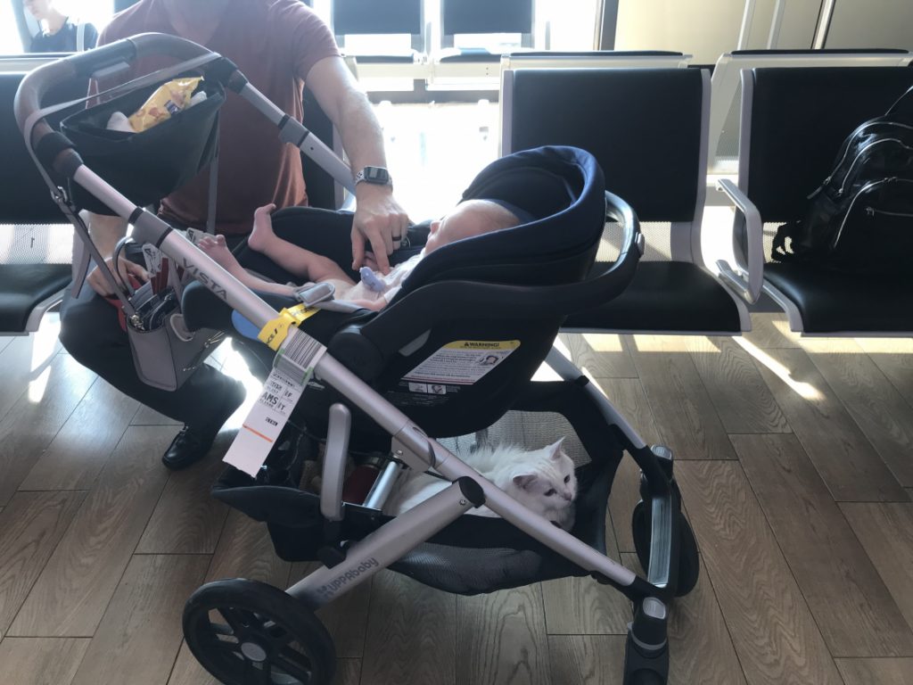 Uppababy vista on plane sale