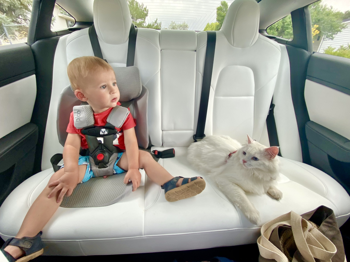 Convertible Car Seat Portable Travel Safe Toddler Baby Adjustable Seat Belt Anna 