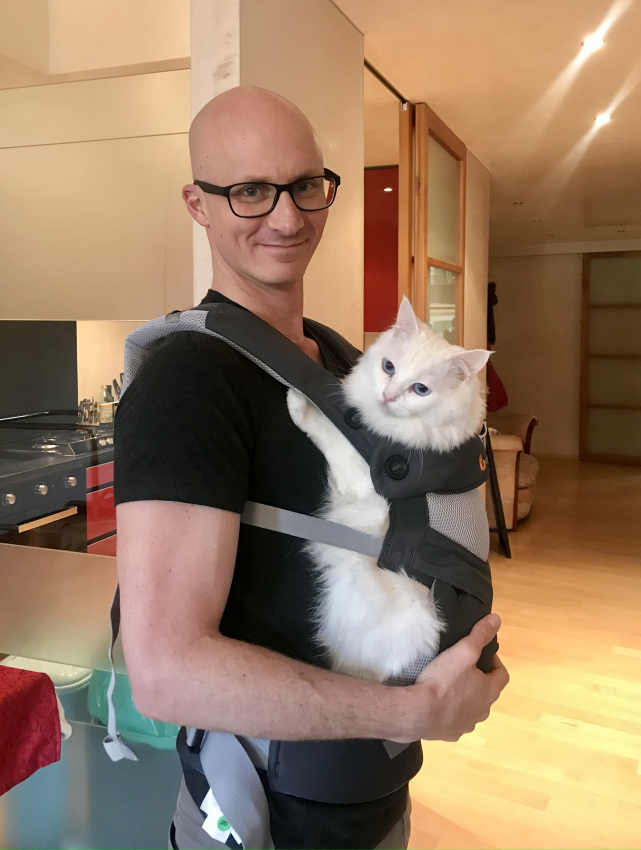 Cat in baby carrier.