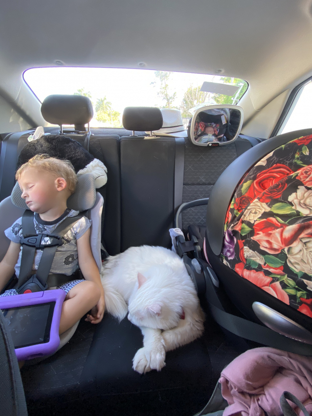 7 Best Portable Car Seats 2023 - Top Airplane and Uber Car Seats