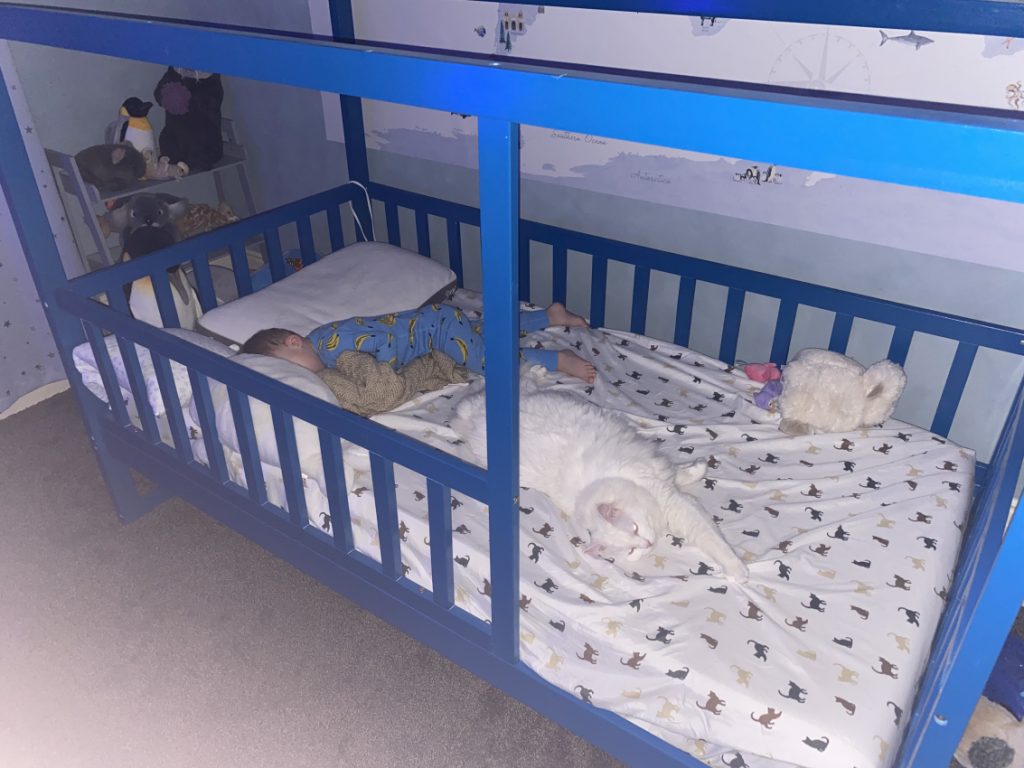 Child sleeping in a montessori floor bed.