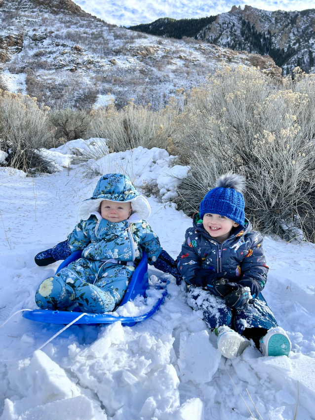 Blue Infant Boggan Sled - baby & kid stuff - by owner - household