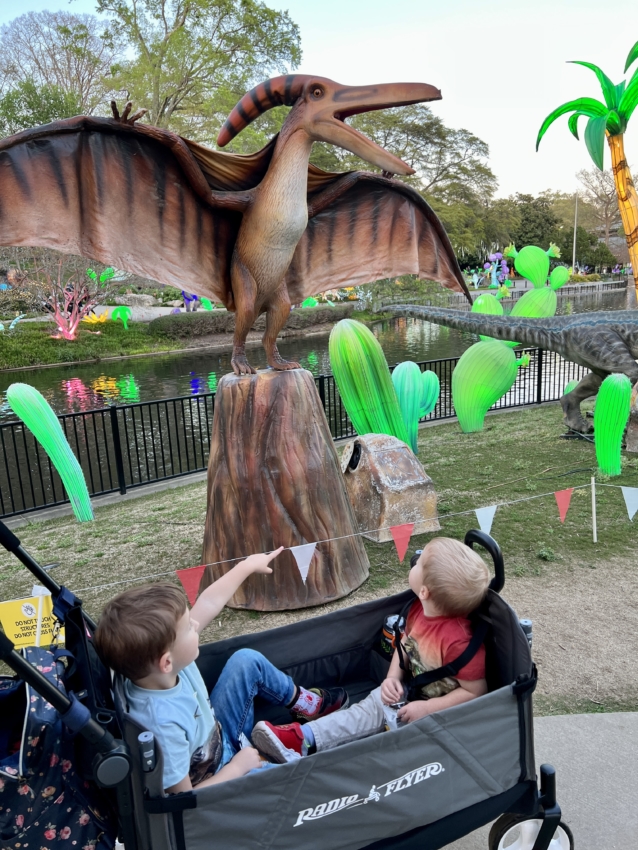 Stroller wagon used as a double stroller at the park