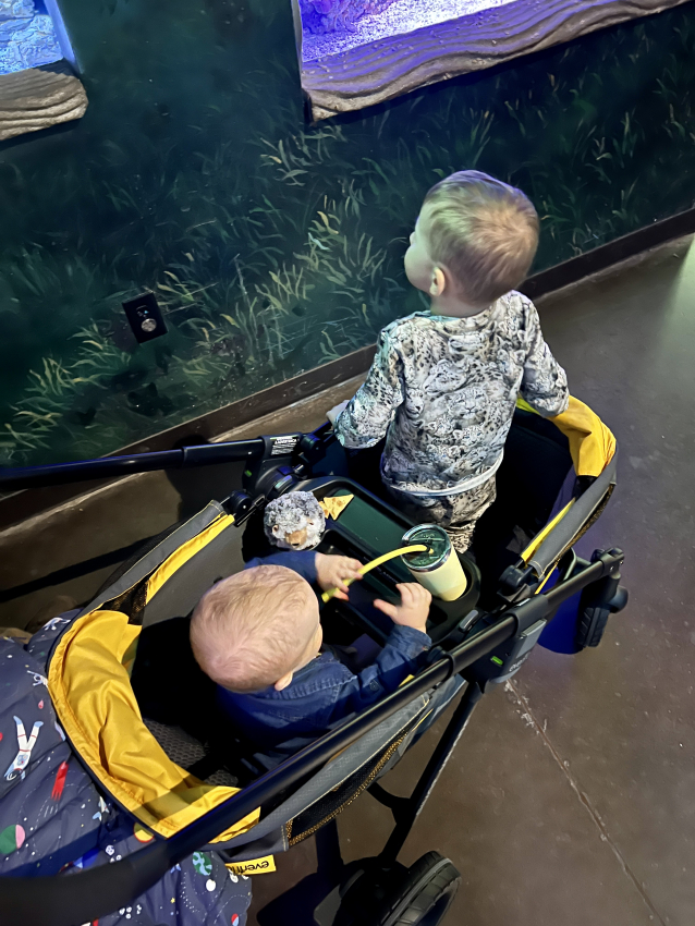 Kids riding in a stroller wagon for toddlers