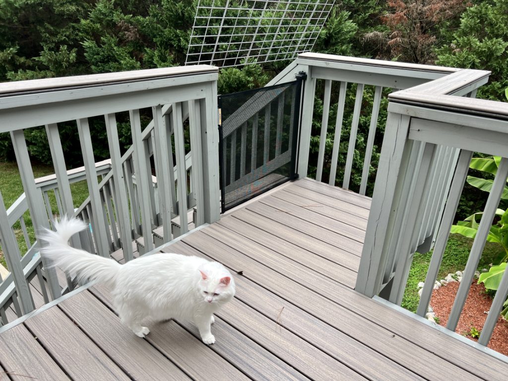 Baby gate at the top of a landing or porch stairs.