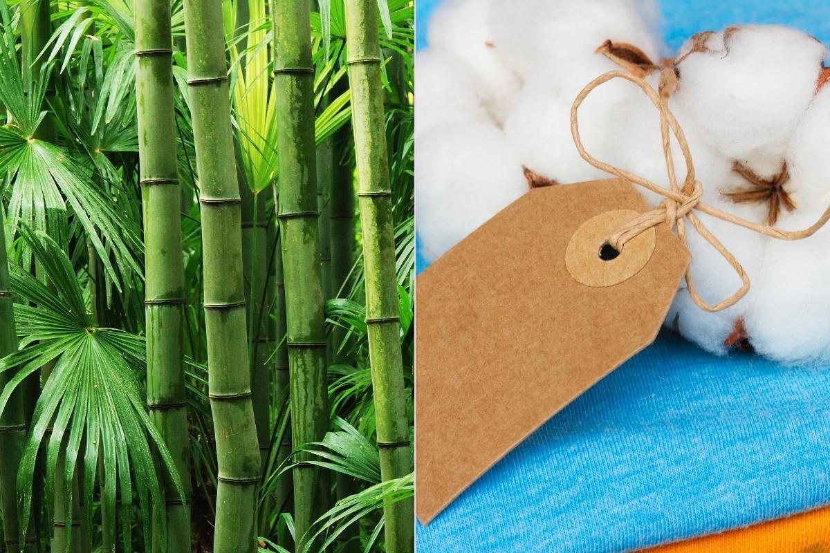 Cotton fioc in bambù – Bambaw