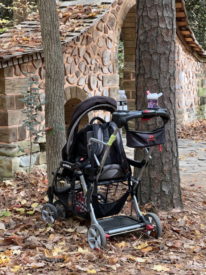 Best Sit & Stand Strollers