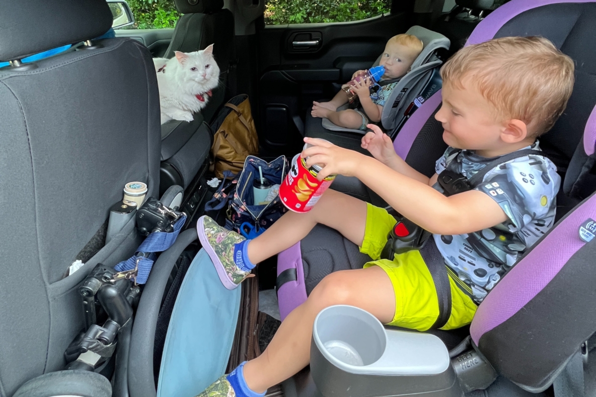 Brica SmartMove Toddler Car Seat Transporter Review - The Traveling Child