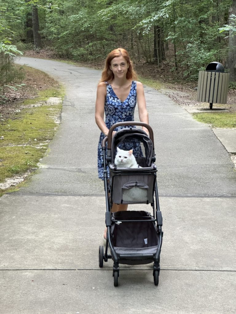 walking a cat in the pet stroller