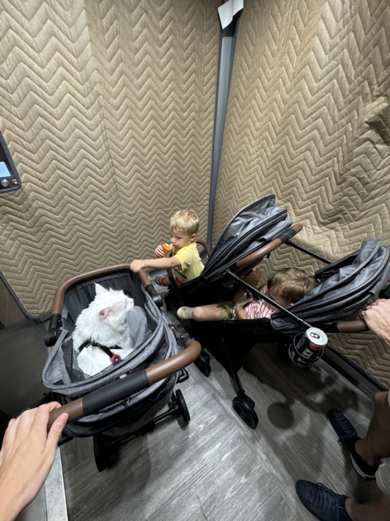 strolee linq stroller review